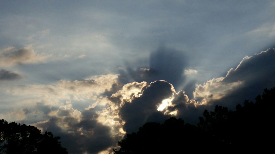 20150827_081353.jpg image
