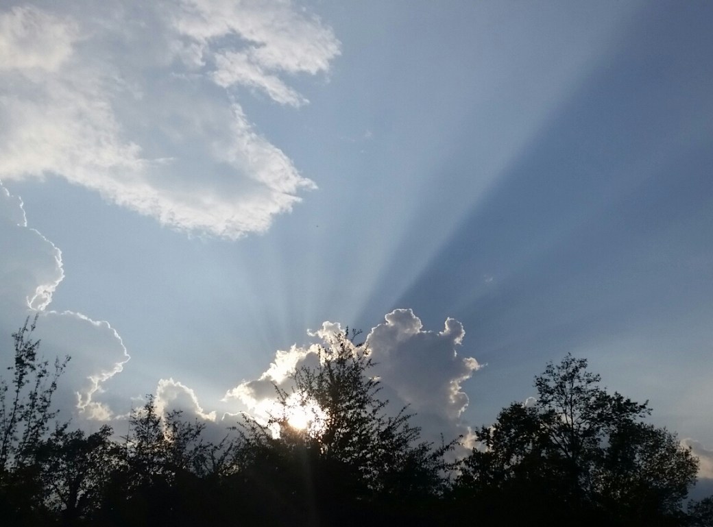 20150906_185040-1.jpg image